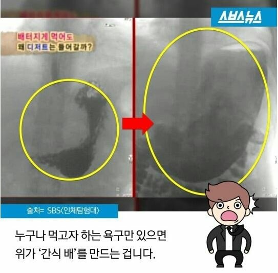 밥배와 간식배