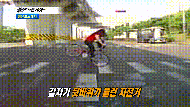 102069850.gif