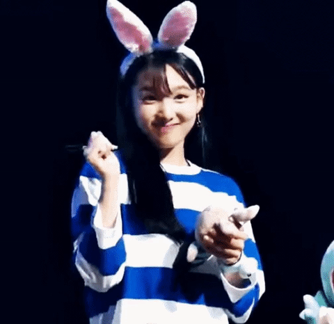 조련당하는 토끼