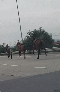 20.gif