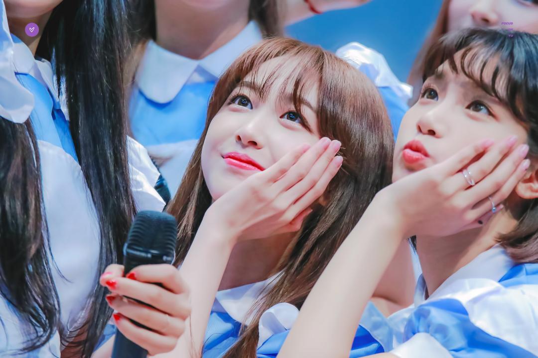 엘리스 유경