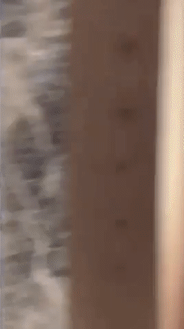 친구 인스타 라이브에 찍힌 여신강림 작가3.gif