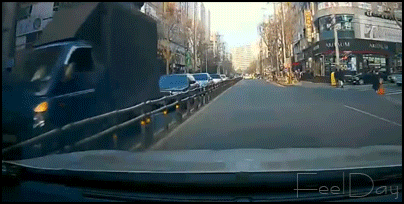 시발놈 gif