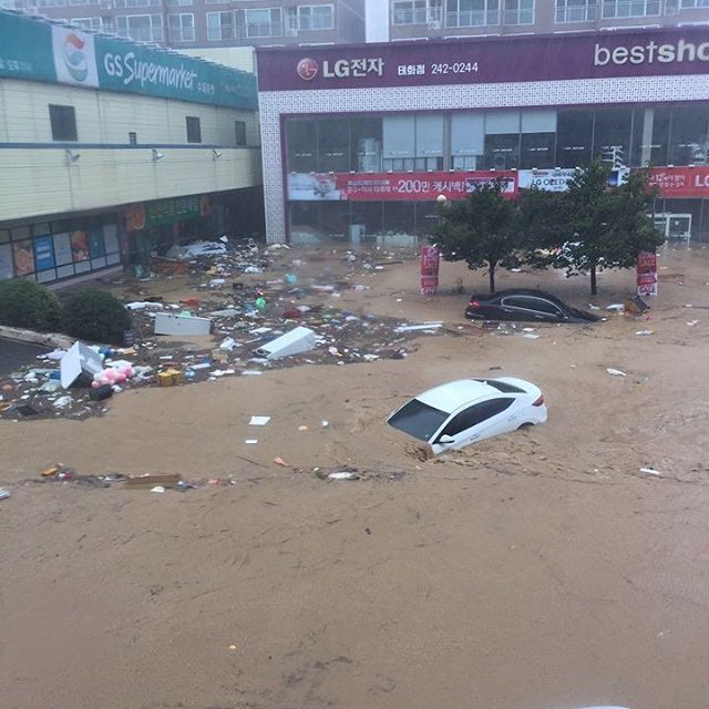 태풍 피해 상황