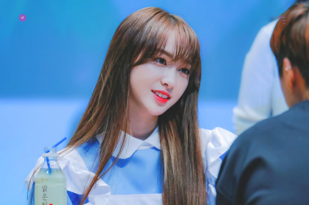 엘리스 유경