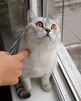 머엉
