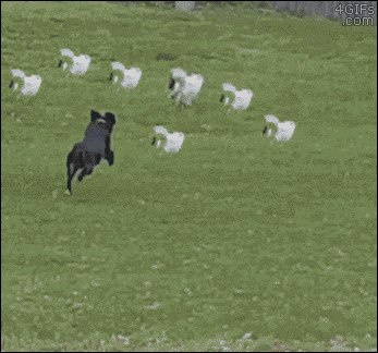Download_2016_03_14_15_11_13.gif