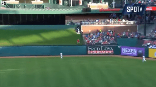 유쾌한 텍사스 팬