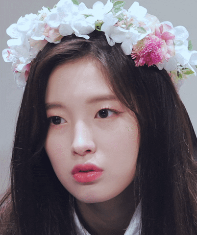 15년 아린이와 19년 아린이