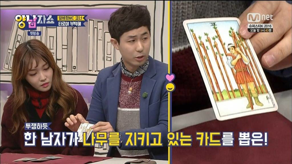타로점 보는 청하