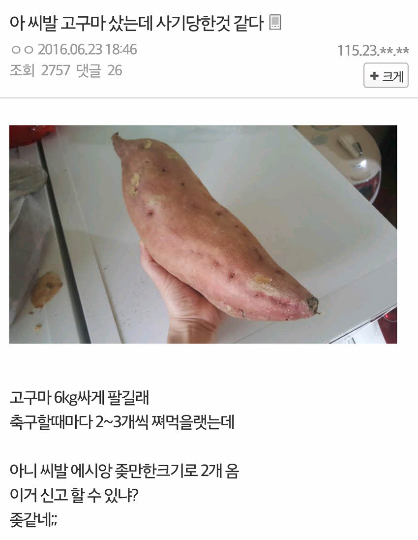 고구마 구입한 디시인