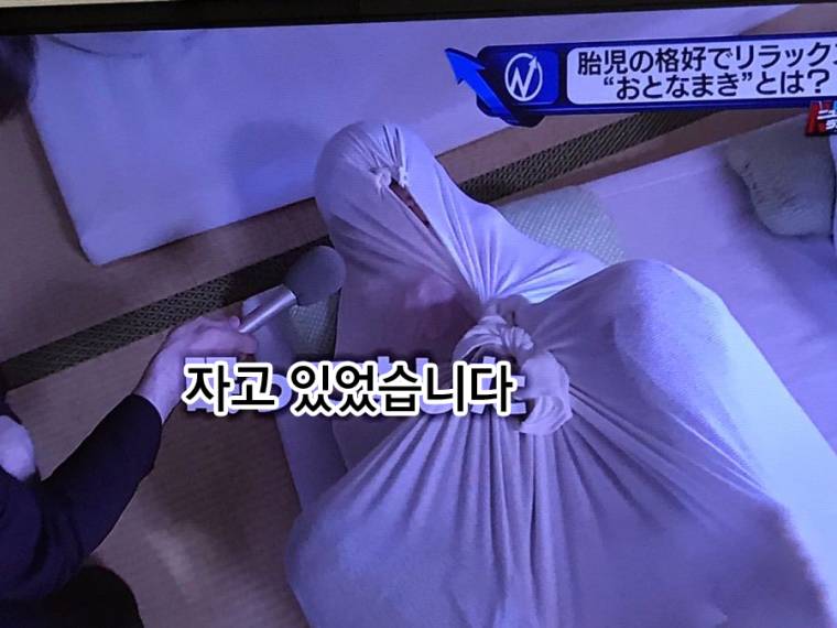 잠이 잘온다는 수면자세