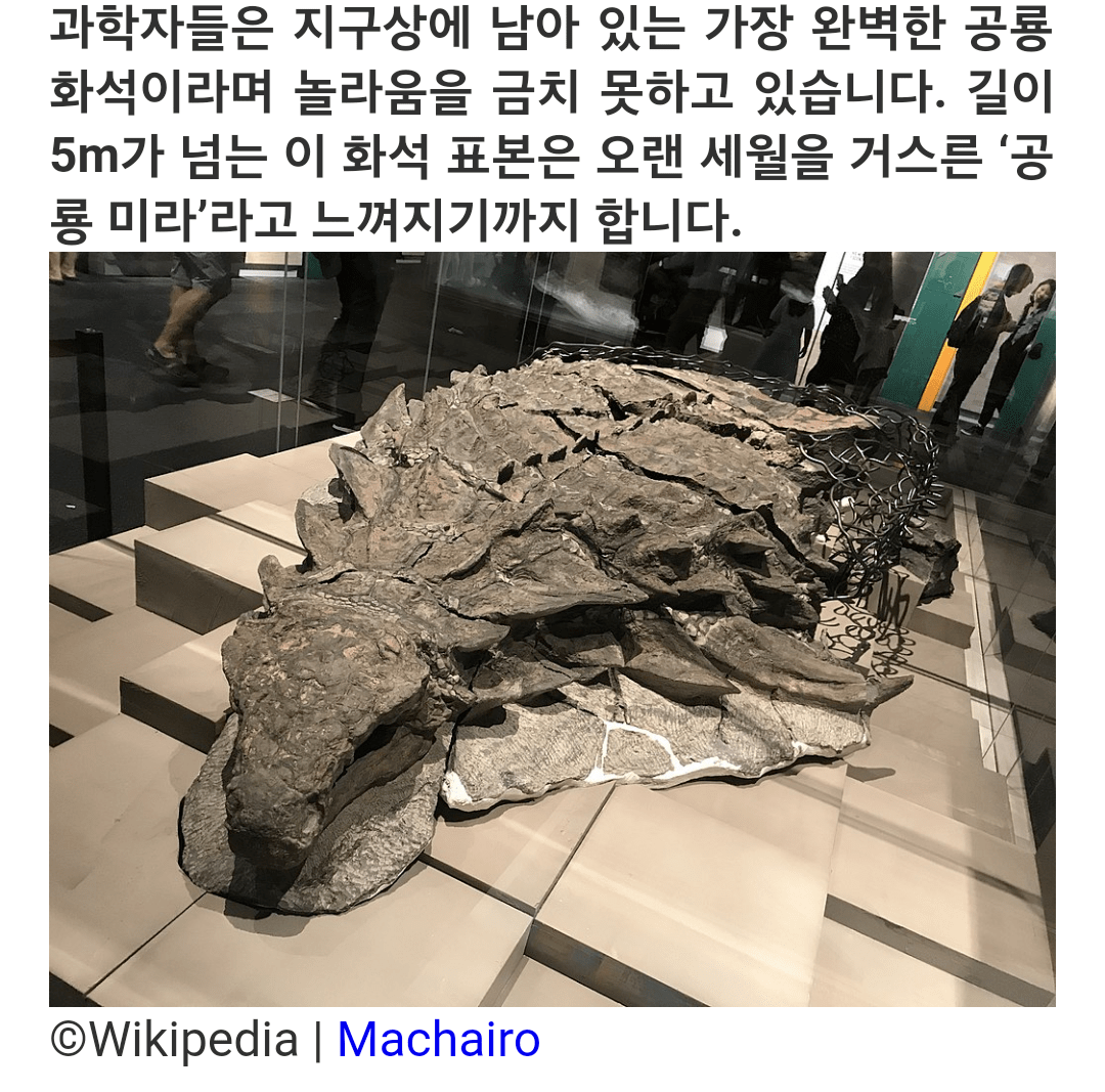 지구상에 남아있는 가장 완벽한 공룡 화석