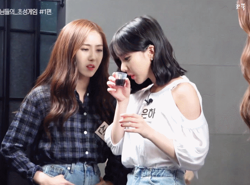 까나리 면역 은하