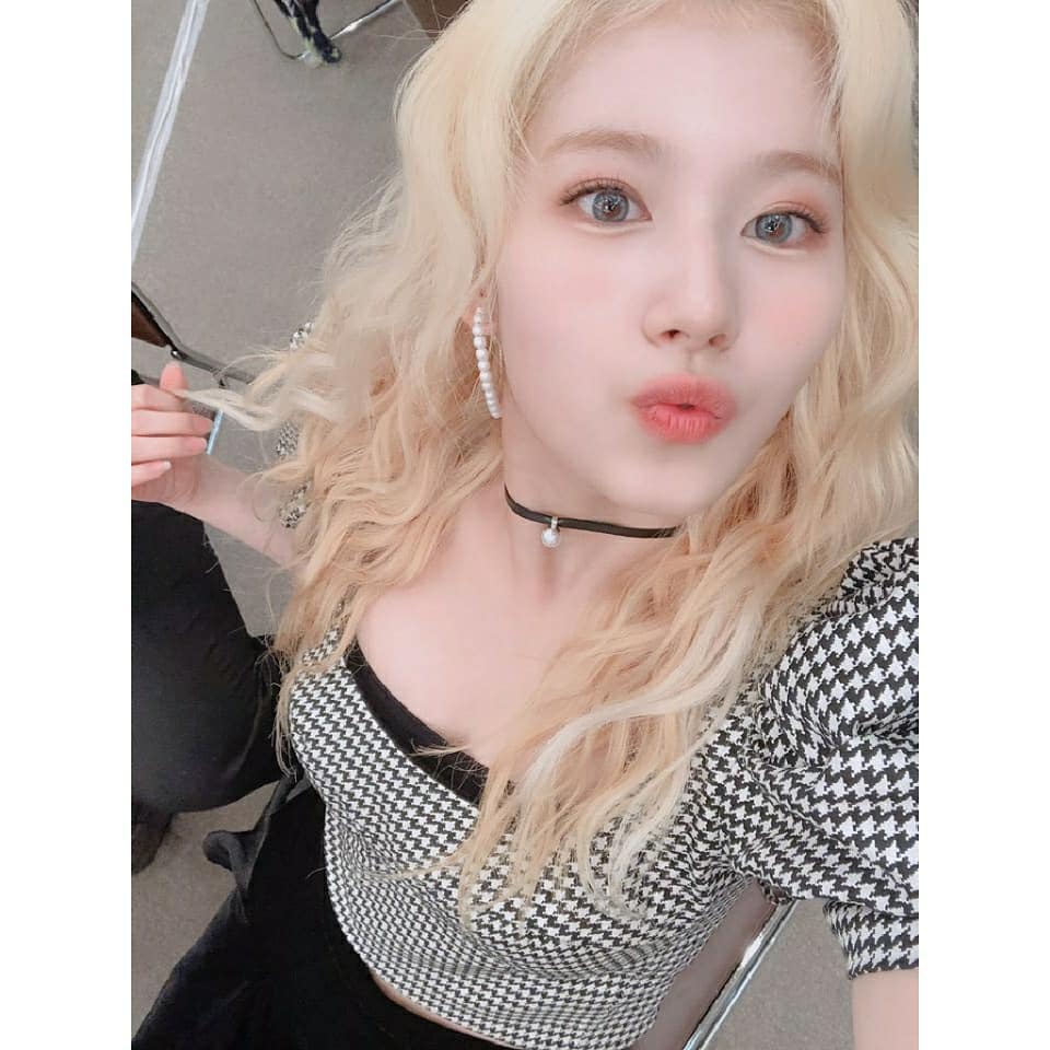 사나 셀카