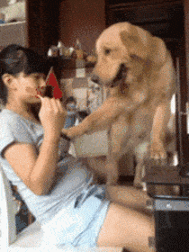 c3d57c36-62bf-4dad-b900-15d9b988c7eb.gif
