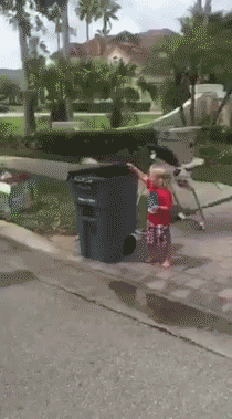 일상 속 무심코 마주친 작은 감동