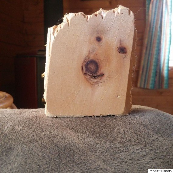 주인님 그 녀석은 가짜에요