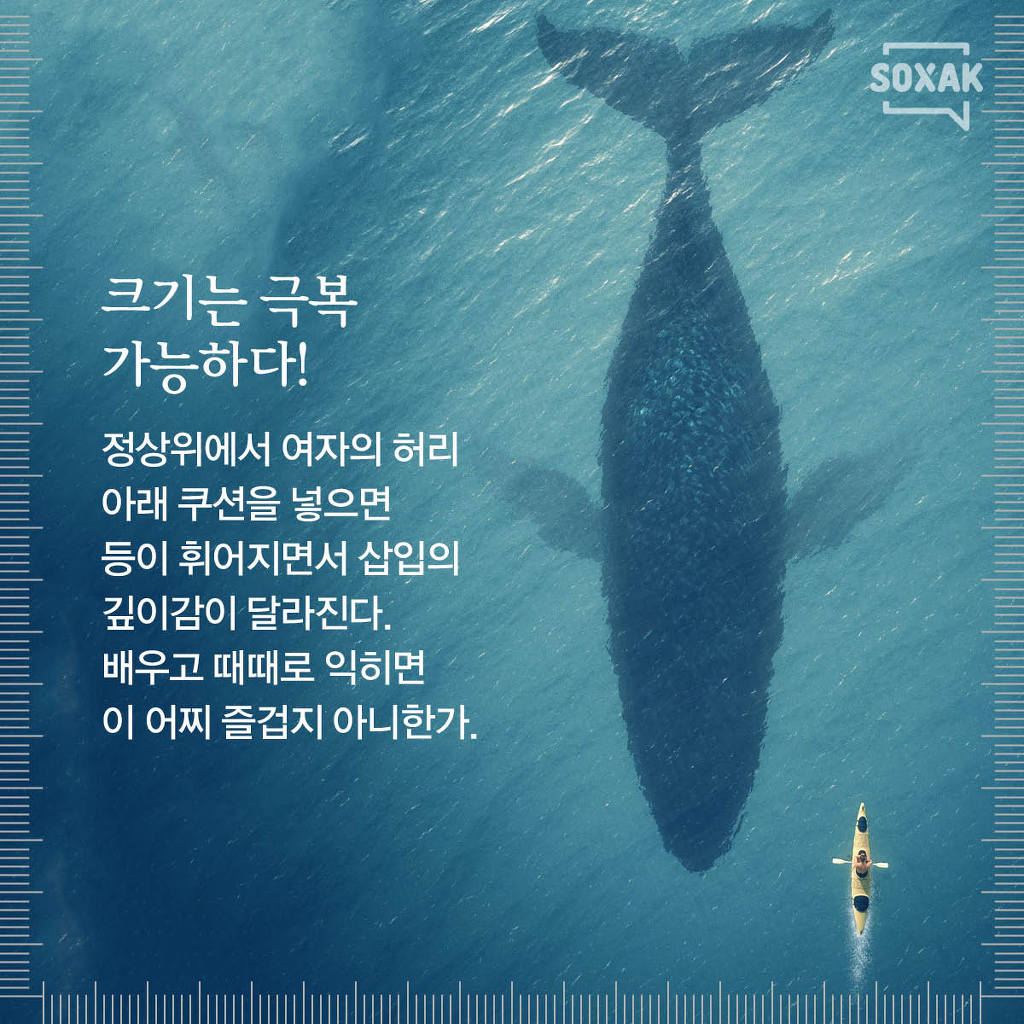 남성의 사이즈에 대한 모든 것