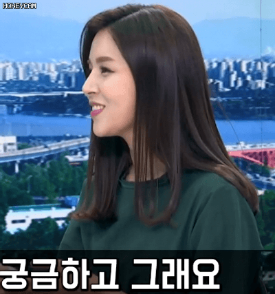 4.gif 조수애