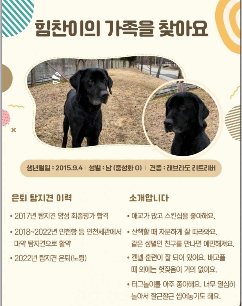 이직자리를 구하는 경력직들
