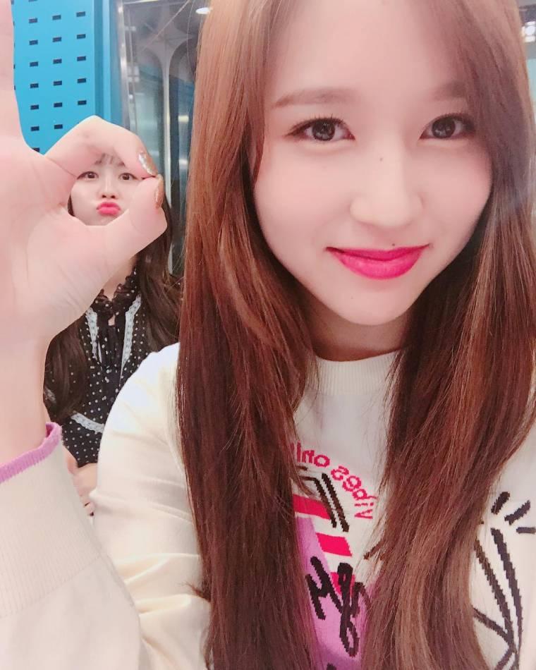 최파타 트와이스