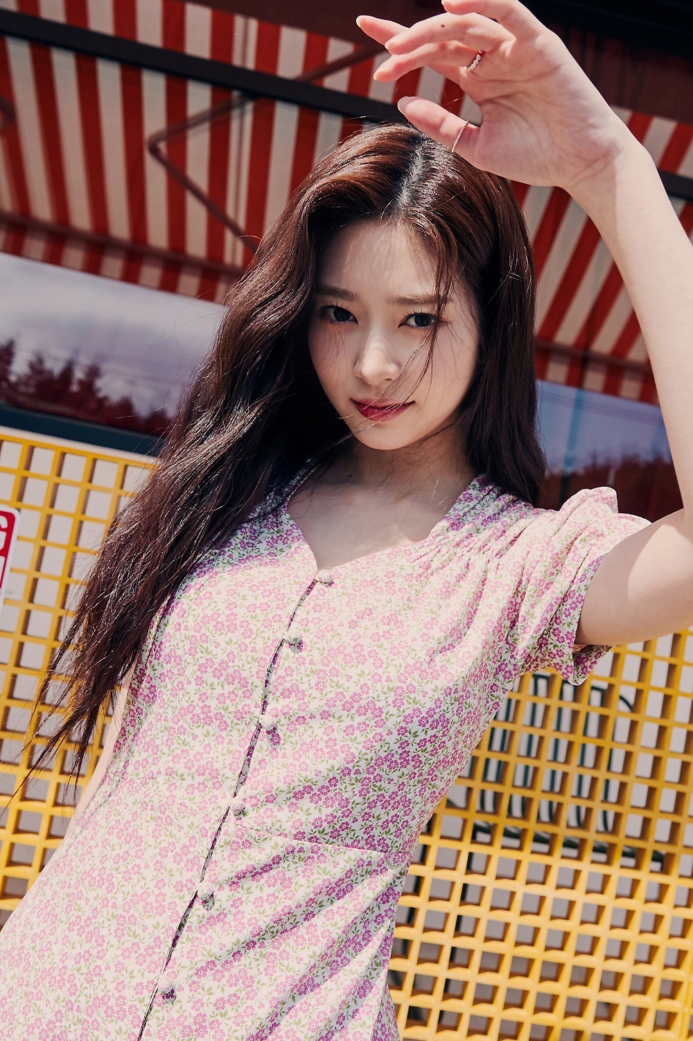 downloadfile(1234).jpg