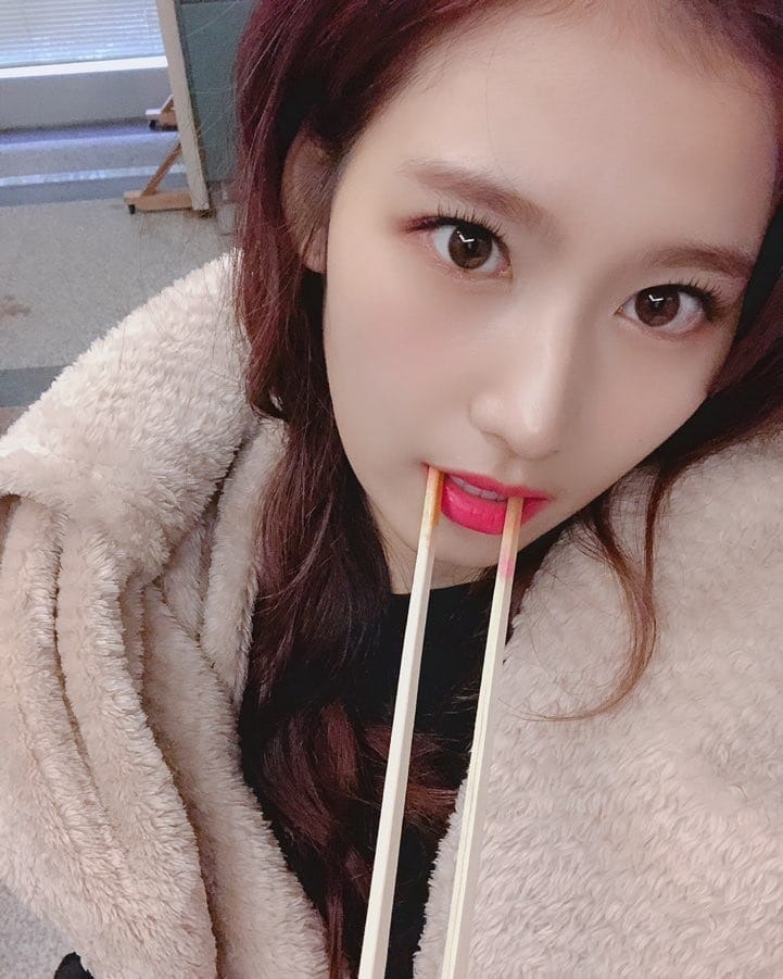 사나 셀카