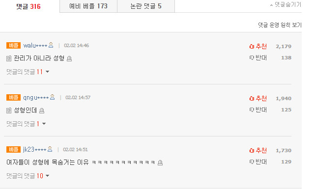 아이린 기사에 달린 판녀들 댓글