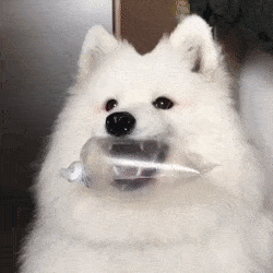 119.gif