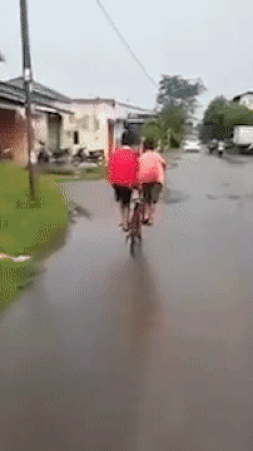 21.gif