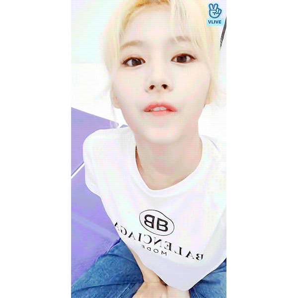 1(1).gif