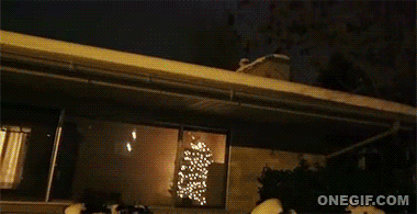 0dafb53d7d946d69dbd07bc7c2066d74.gif
