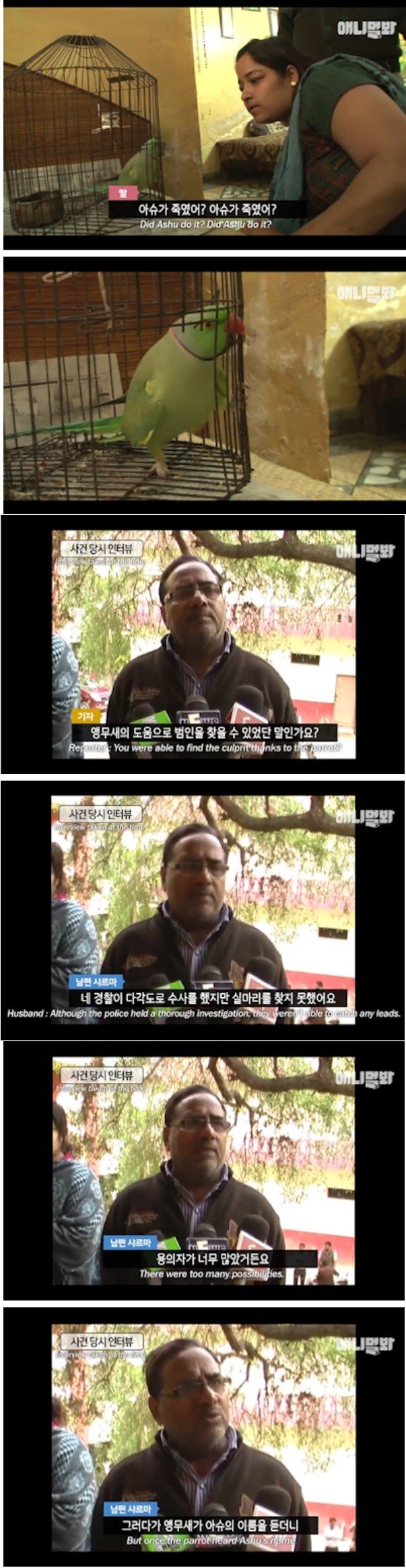 109.jpg