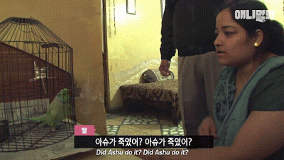 115.gif
