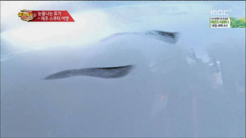 제주도 스쿠터 대여업체 클라스.jpg