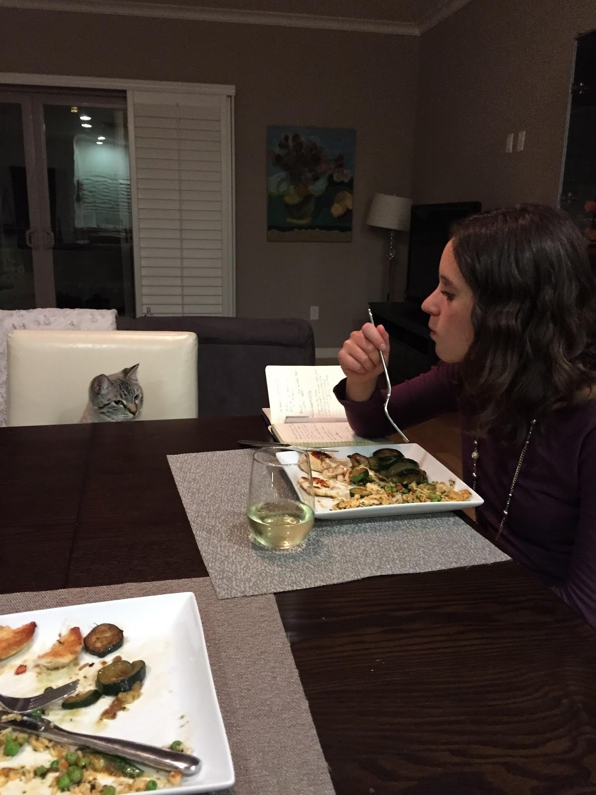 밥먹을때마다 쳐다보는 고양이