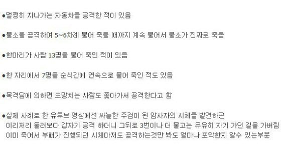 지구상에서 가장 위험한 독사 블랙 맘바