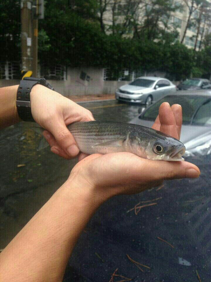 태풍 피해 상황