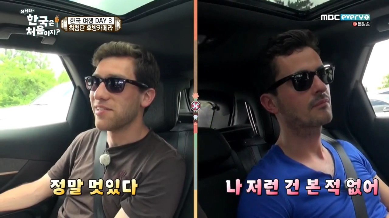 독일인들이 신기해하는 자동차 기능