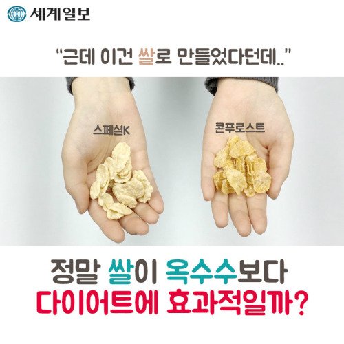 이름만 스페셜한 시리얼