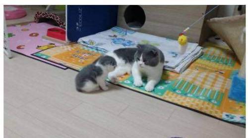 아빠한테 혼나는 둘째