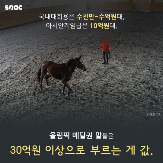 우리 아이 승마 선수 만들기