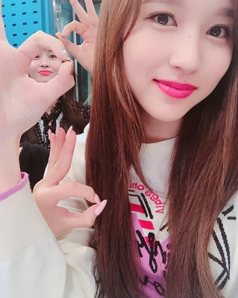 최파타 트와이스