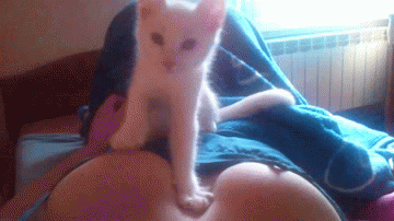 yXjtMGP.gif