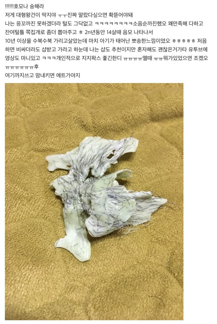 셀프브라질리언 왁싱 후기