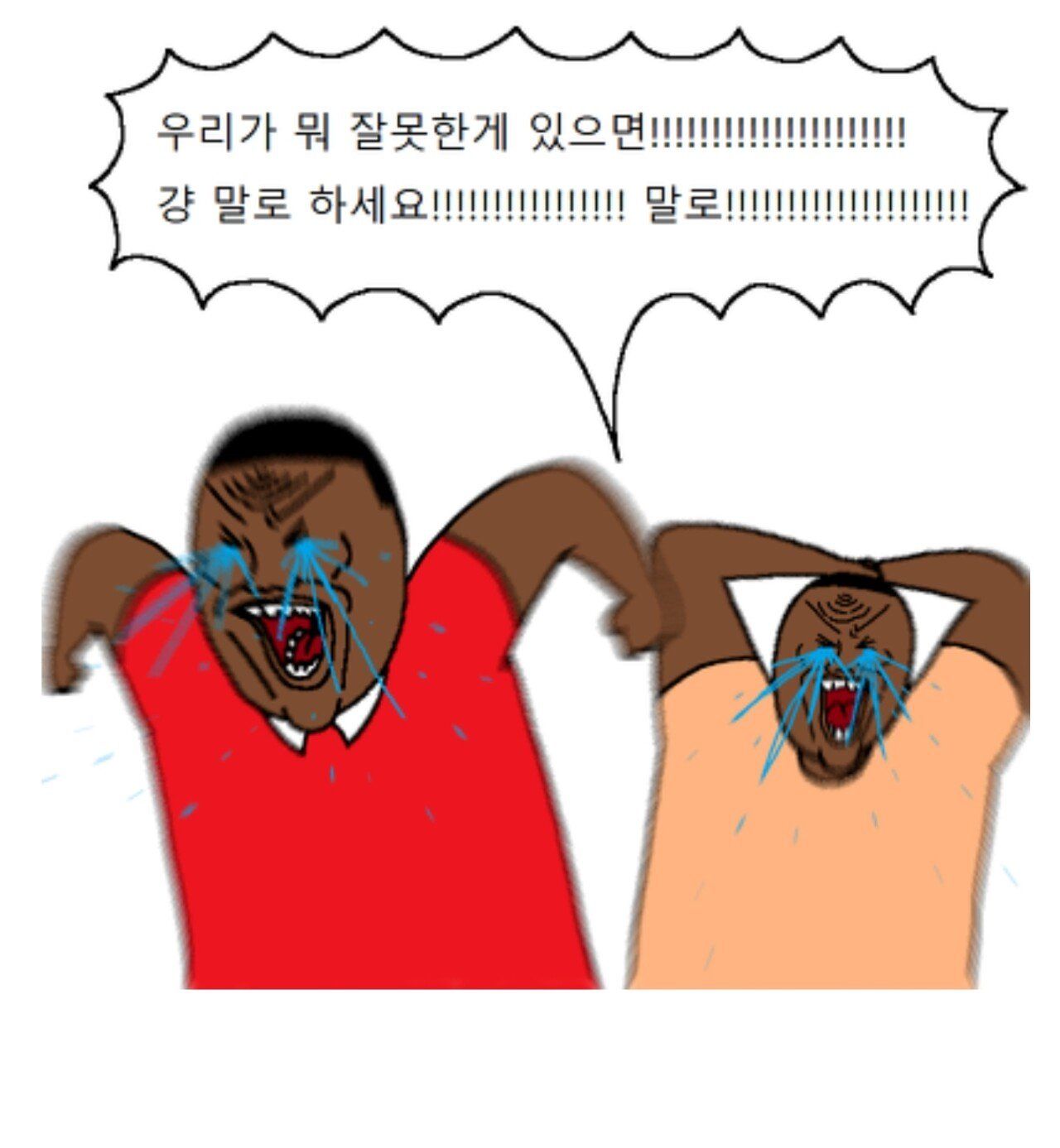 27.jpg