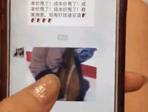 모터쇼 프로 딸잡이