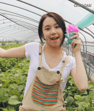 딸기따는 채영2