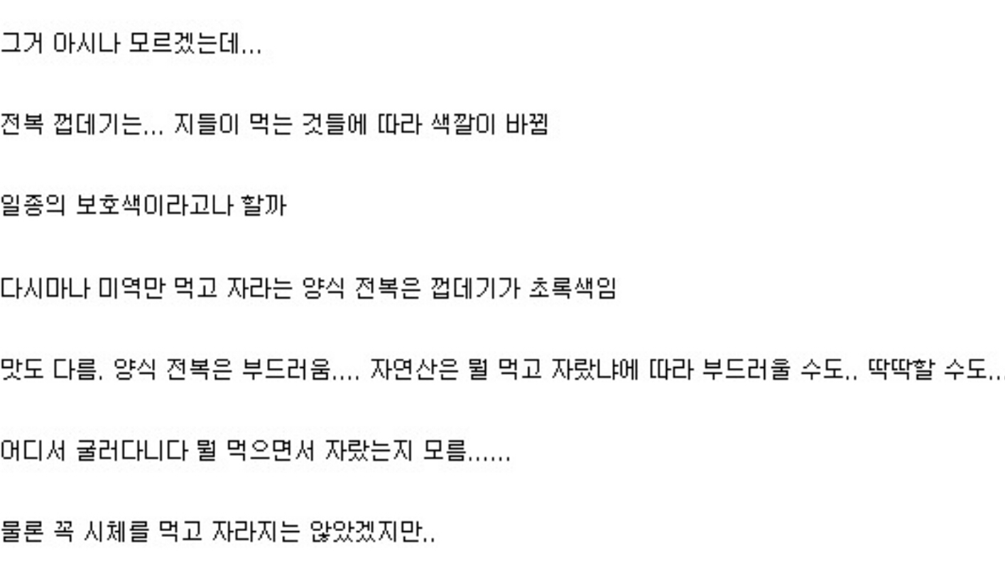 전복을 안먹게 된 이유